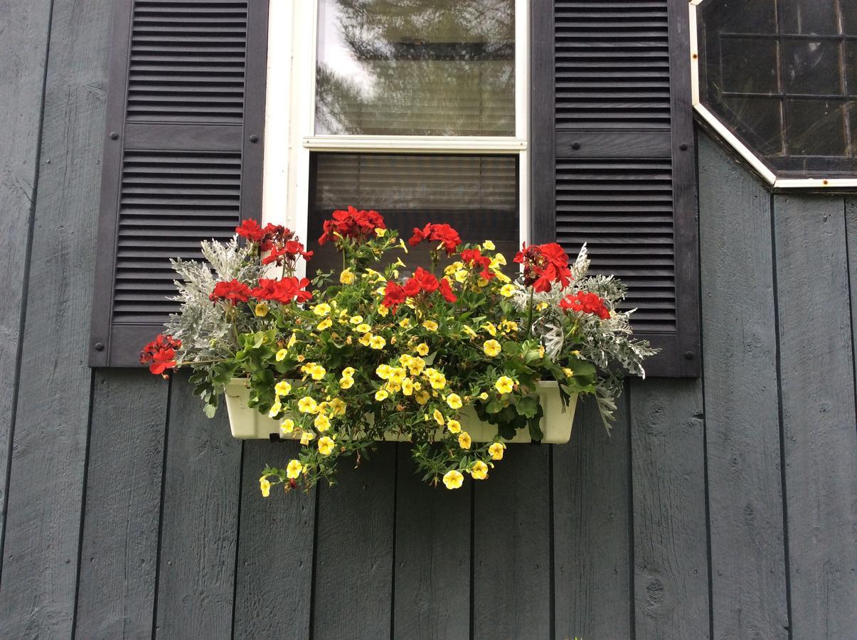 Firefly Bed & Breakfast Lincoln Buitenkant foto