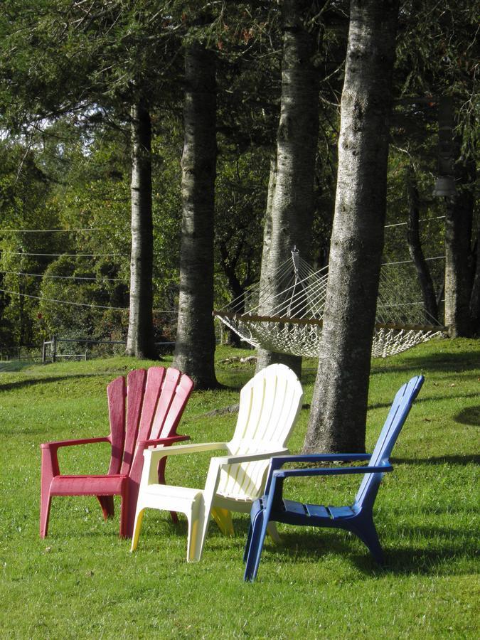 Firefly Bed & Breakfast Lincoln Buitenkant foto