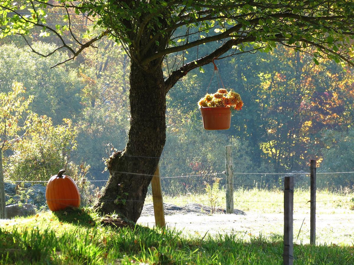 Firefly Bed & Breakfast Lincoln Buitenkant foto