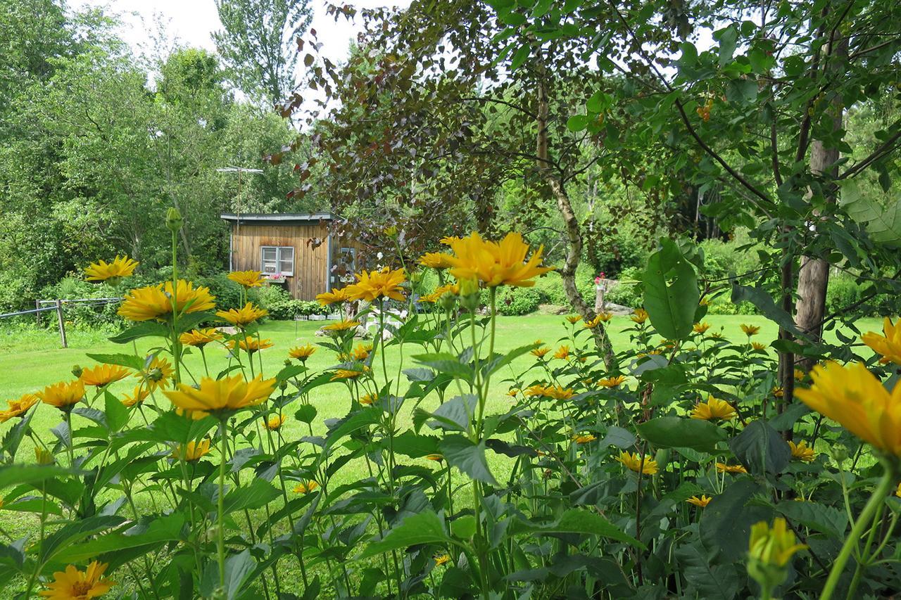 Firefly Bed & Breakfast Lincoln Buitenkant foto