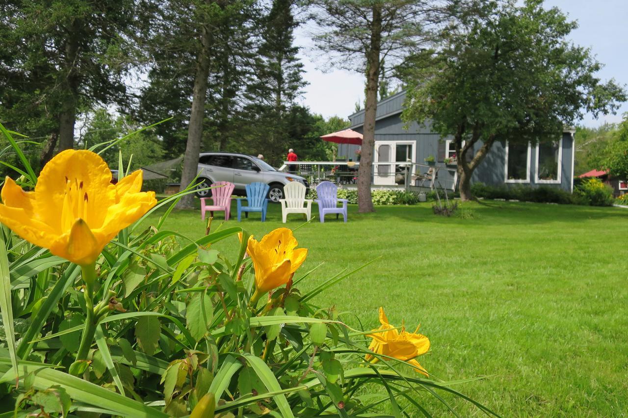 Firefly Bed & Breakfast Lincoln Buitenkant foto