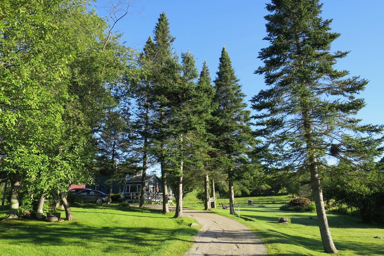 Firefly Bed & Breakfast Lincoln Buitenkant foto