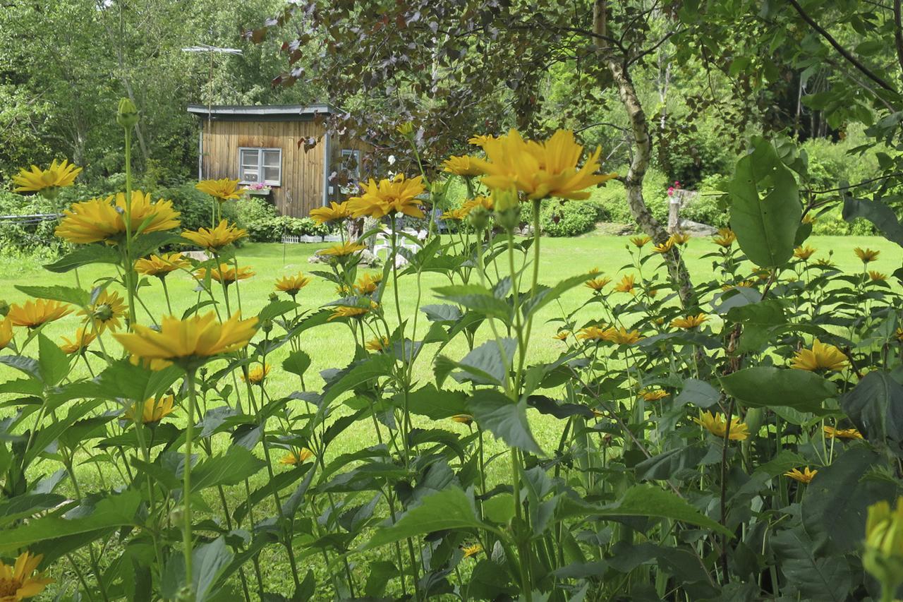 Firefly Bed & Breakfast Lincoln Buitenkant foto